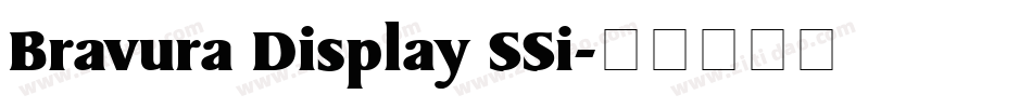 Bravura Display SSi字体转换